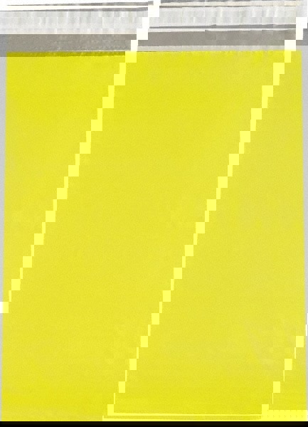 Courier Mailing Envelope: 14-1/2